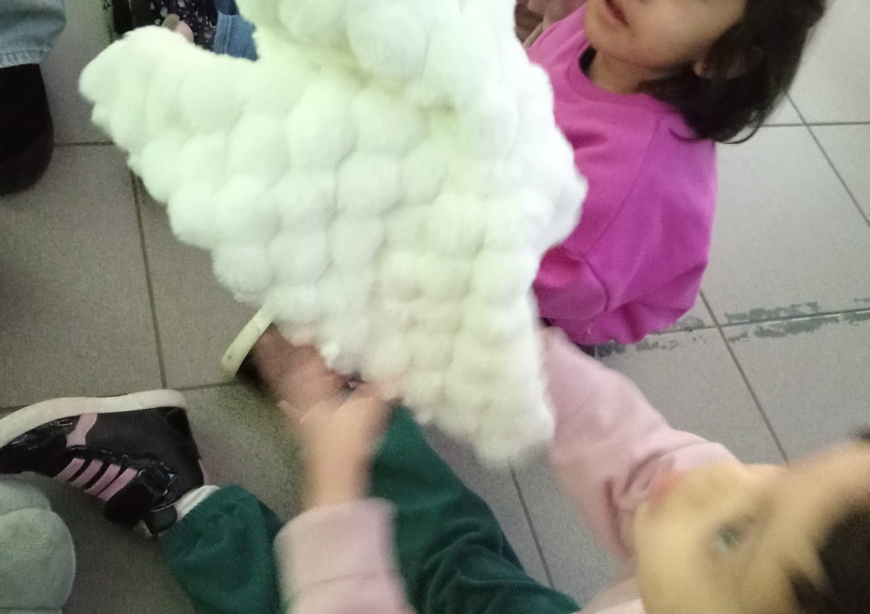 whatsapp image 2026-02-01 at 06.52.25 1